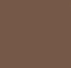 LI Pigments Micro Edge - Brown Cafe